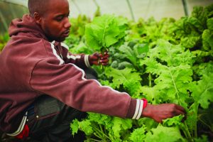 Market Making for Mission