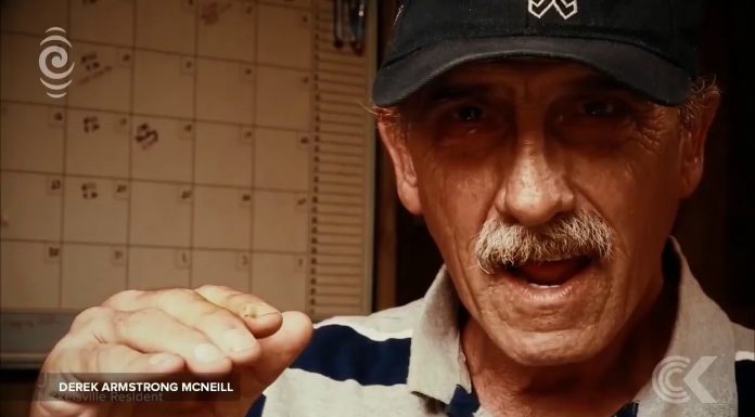 New Tiny Homes for Homeless in Seattle