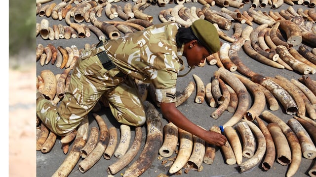 Vodafone’s WIP 2017 Winners Announced in Chicago