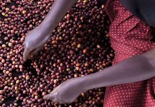 New Mars Farmer Income Lab Aims to Address Farmer Poverty