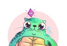 Honu Reimagines Charity Through Impact NFTs