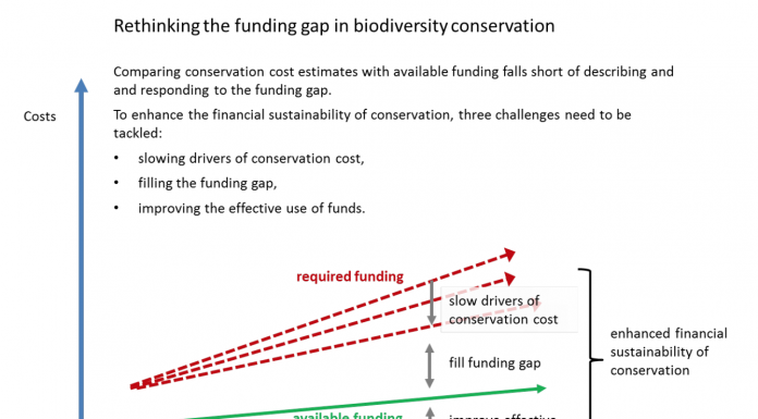Reimagining Environmental Conservation Funding Through Impact NFTs